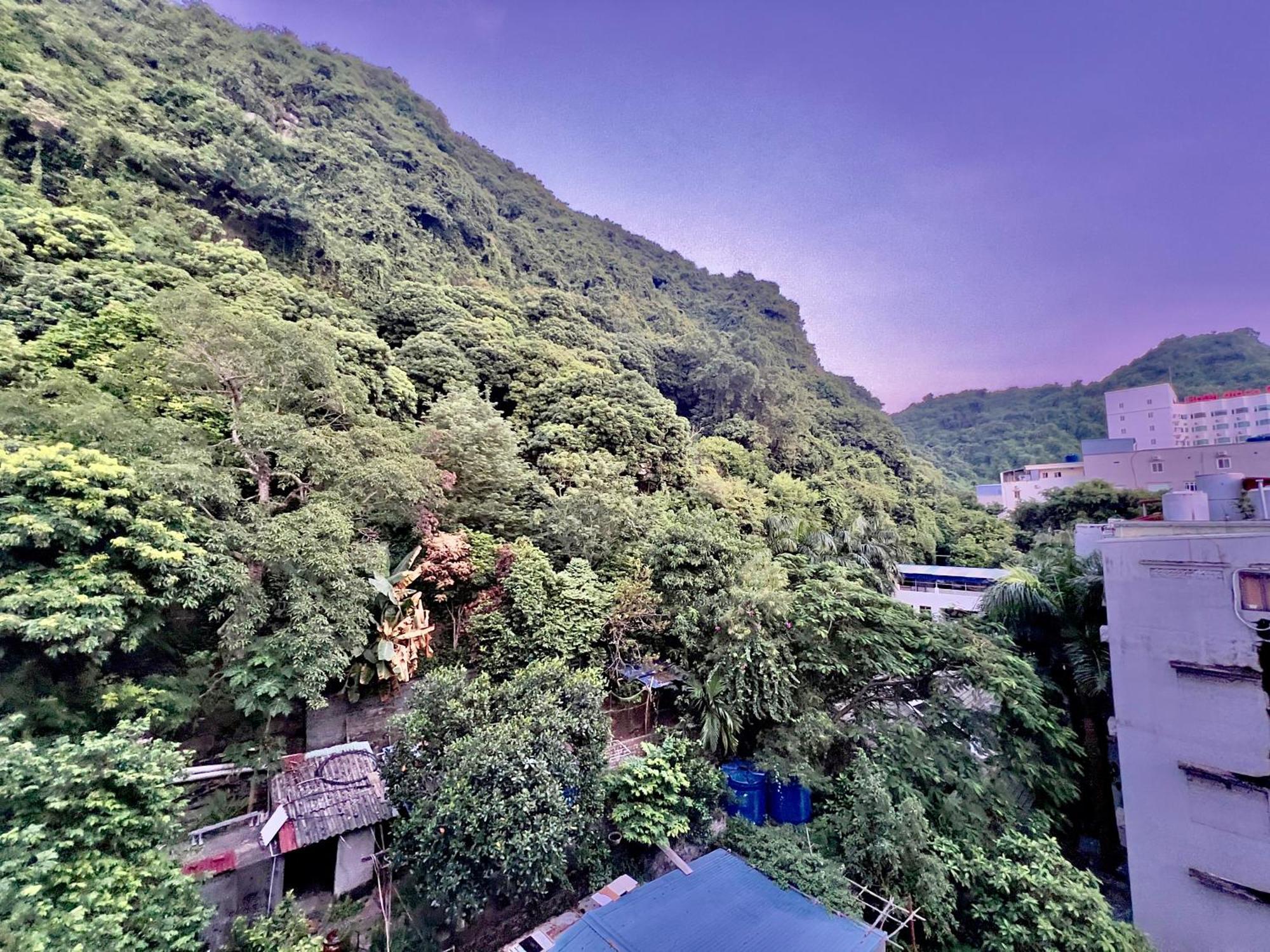 Manh Vuong Hotel Catba Dong Khe Sau 外观 照片