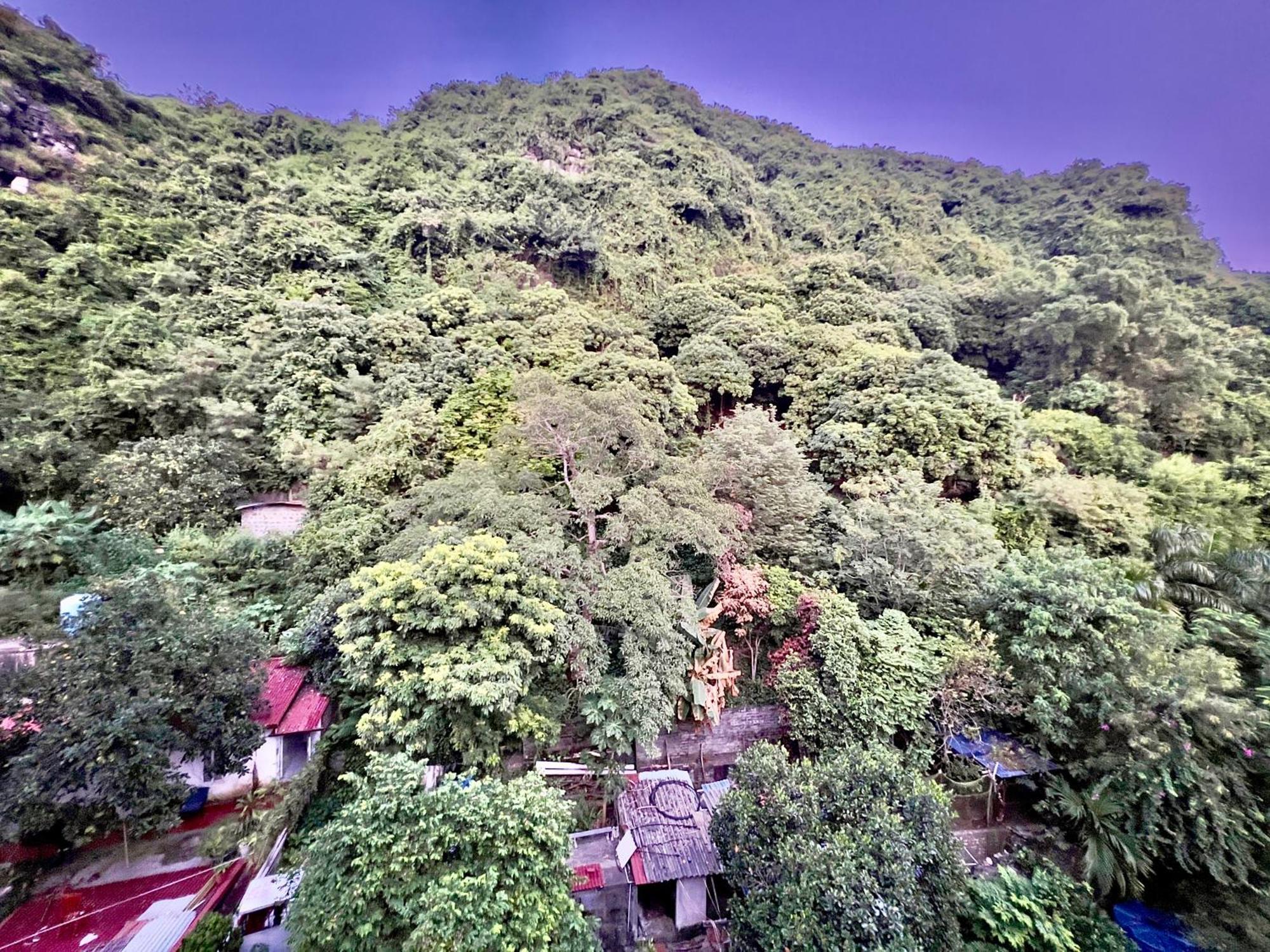 Manh Vuong Hotel Catba Dong Khe Sau 外观 照片